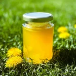 Mom's Dandelion Jelly (Spring Foraging) 96 Moms-Dandelion-Jelly-Spring-Foraging-Recipe